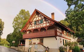 Studio beim Rhein - Ziegelhütte